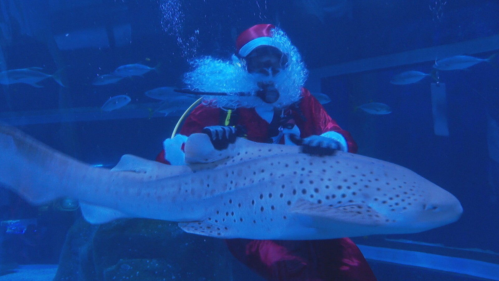 foto Not&iacute;cia Volta Redonda